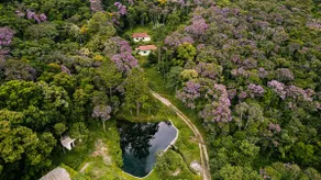 House in the Atlantic Forest: Pool, Lake and Nature M - Image 3