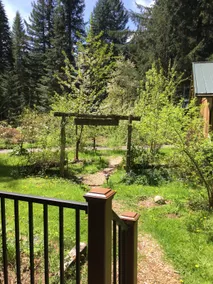 Ashford Food Forrest Cabin - Image 2
