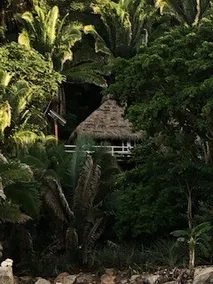 Secluded, romantic oceanfront paradise - Image 3