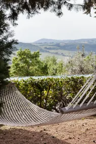 APARTMENT BELLARMINO IN TUSCAN VILLA - Image 3