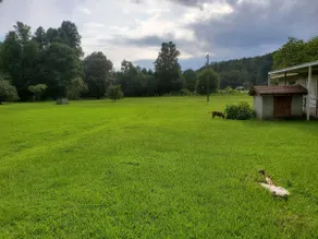 Eagle's Nest Entire Home on 2 Acres w/creek - Image 5