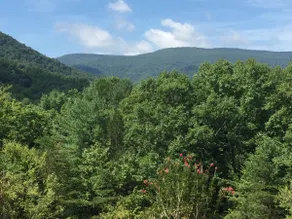 Hytta i Sugar Hollow - Image 2