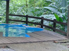 Cataratas Bijagua Lodge, incluye tour autoguiado Bijagua Waterfalls Hike - Image 2