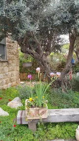 The Charming House of Taly&Erez 15 Min to Tel-Aviv - Image 2