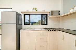 Click nest: remote work and peace - Image 5