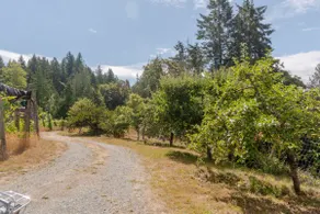 Thetis Island Vineyard Cottage - Image 3
