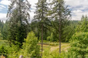 Thetis Island Vineyard Cottage - Image 4