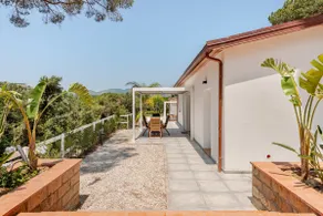 A Casa di Chiara -Isola d'Elba - Capoliveri - Spiaggia Naregno - Image 3
