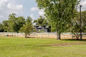 Texas Ranch Experience - Horses, Longhorns & Quiet - Image 5