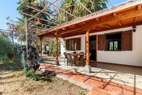 Bella e Tranquilla Casa tra le Palme con il Campo di Frutta - Image 4
