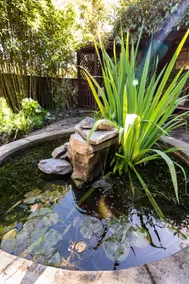 Soak up the Serenity from a Swing Seat at Claremont Cottage - Image 5
