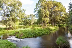 BRAND NEW Luxury Hinterland Cabin- Flowing Creek - Image 3