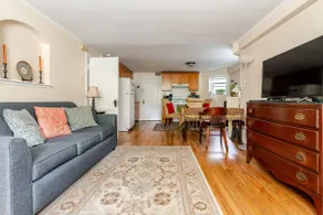 Cozy Garden Unit In Edgewater - Image 5