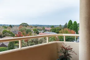 Gem in the North Shore of Sydney - Image 3