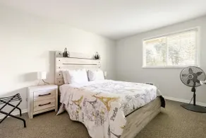 Pet friendly independent home with backyard - Image 4