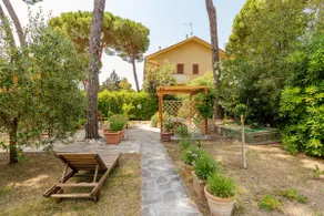 Mishka's home - Image 2