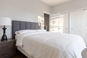 Bright & Cozy | Jersey City Retreat - Image 4