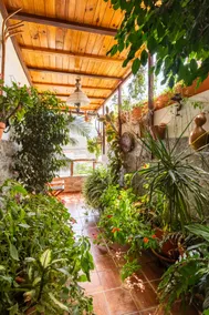 Casa Canaria Tejeda - Image 5