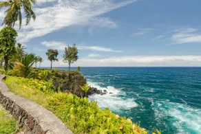 Oceanfront Treehouse at Hakalau with Kitchen - Image 3