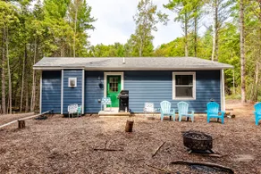 Brand New Relaxing Woodland Retreat - Image 2