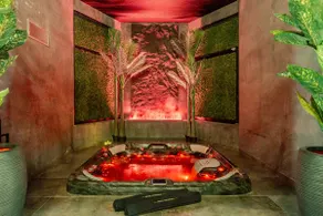 Luxury InTENSE Suite • Private Spa, Swimming Pool & Tranquility - Image 2