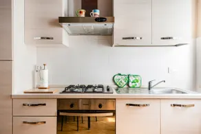APARTMENT IN THE HISTORICAL CENTER OF MANTUA - Image 4