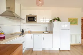Pico San Carlos II Apartments (JULIA) - Image 4