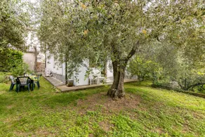 Cottage among the olive trees near the sea IT009031C2OFLEBT3J - Image 5