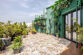The best green terrace in the city art deco flat - Image 2