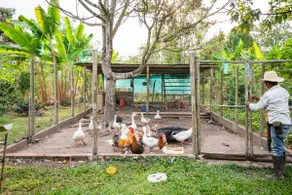 Charming country house - Villa Luz - Image 2