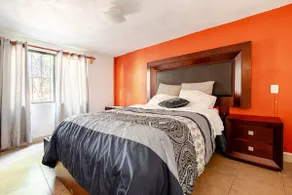 Depa de Paco - Image 4