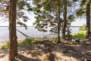 Afsondret Cape Breton Ocean Front Feriehus - Image 2