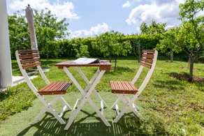 Small independent house in the heart of the vineyards - Image 4