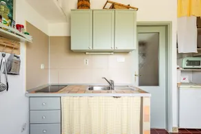 Charming countryside Apartment Orlovac - Image 4