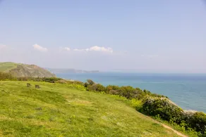 Seascape, Mevagissey cliff top B & B apartment. - Image 5