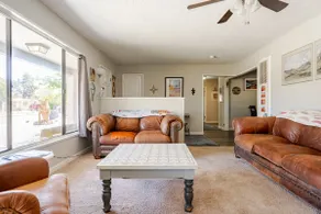 Alb.Uptown, dog friendly walk to food and shops. - Image 2