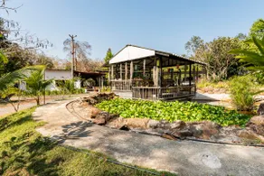 Kyoto Zen Lodge • Serene Japanese Nature Retreat - Image 5