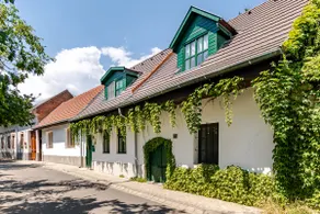 Charming vintage cottage ín the Danube Bend - Image 5