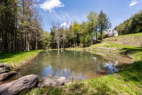 Belleayre Mountain Private Luxury Ski Retreat - Image 4