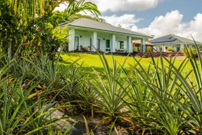 Hale Honu - Oceanfront, AC, Pool, Hot Tub - Image 2