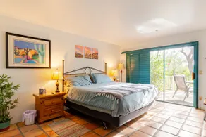 Bird paradise in a gorgeous Starr Pass Golf Casita - Image 4