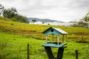 Coziness in the countryside, live this experience!! - Image 5