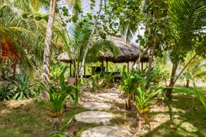 Isla Amor - Image 3