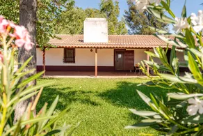 Monte Rústico - Image 2