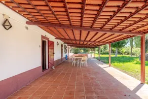 Monte Rústico - Image 4
