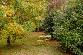 a small cottage in Vendée - Image 5