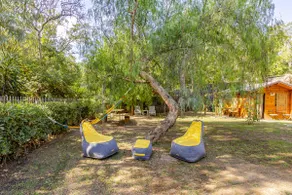 n. 4 - Image 5