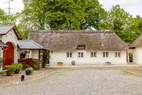 Thatched idyll in the woods - Image 5