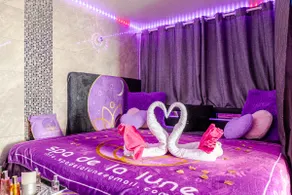 Spa de la Lune - Private love room suite with terrace and view - Air Conditioned- Double jacuzzi - Sauna - King size bed - Free WIFI - Free parking - Free breakfast - Close to CDG airport and to the North of Paris - Image 4