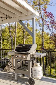 8 Acre Spa Retreat | BBQ, Patio, Views, 3BR - Image 5
